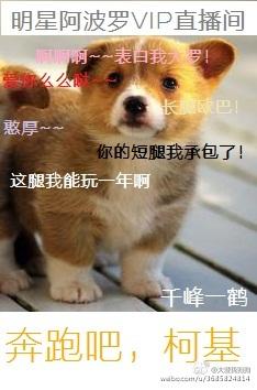 奔跑吧兄弟狗带tv
