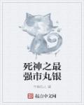 死神之最强之冰免费
